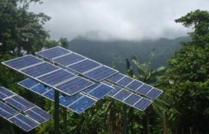 Cape Tribulation Tropical Research Station
