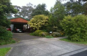 Alan's House