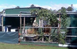 Bro Joe's Space (Jasmine and Honey Scented Shed)