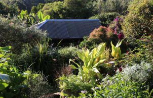 Sustainable Food Garden at Moss House