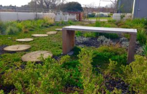 Green Roof in the City