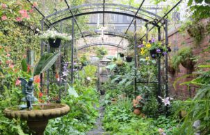 Anne's Garden