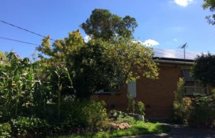 1960s Retrofitted Home Improvement – Burwood
