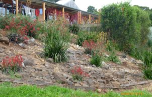 Rammed Earth Mountain View House