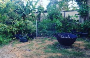 Sustainable Horticulture