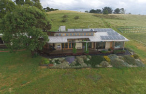 Mulberry Hill