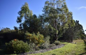 Native Garden Retreat in Moruya