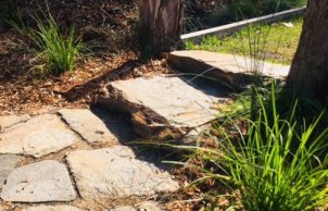 The Little Sustainability Patch