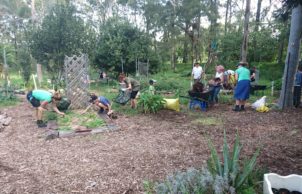 Wilkins Green School and Community Garden