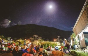 JCU Community Garden: Mayi Tjulbin Ma Bugarra