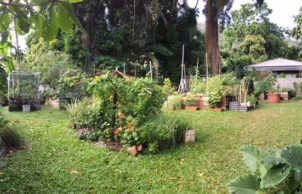 Stratford Community Garden
