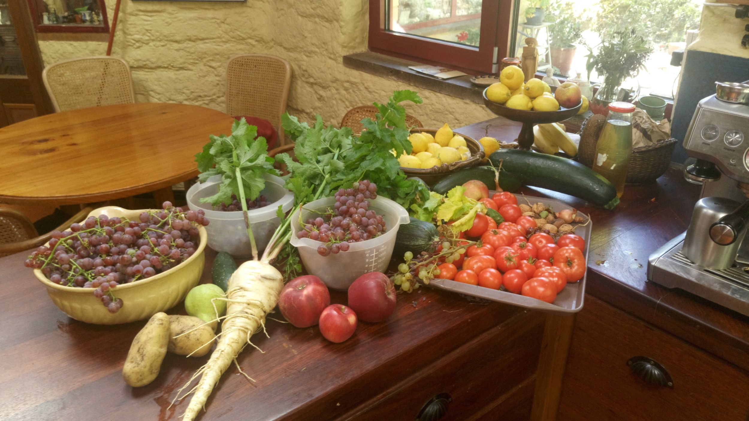 Homeproduce Sustainable House Day