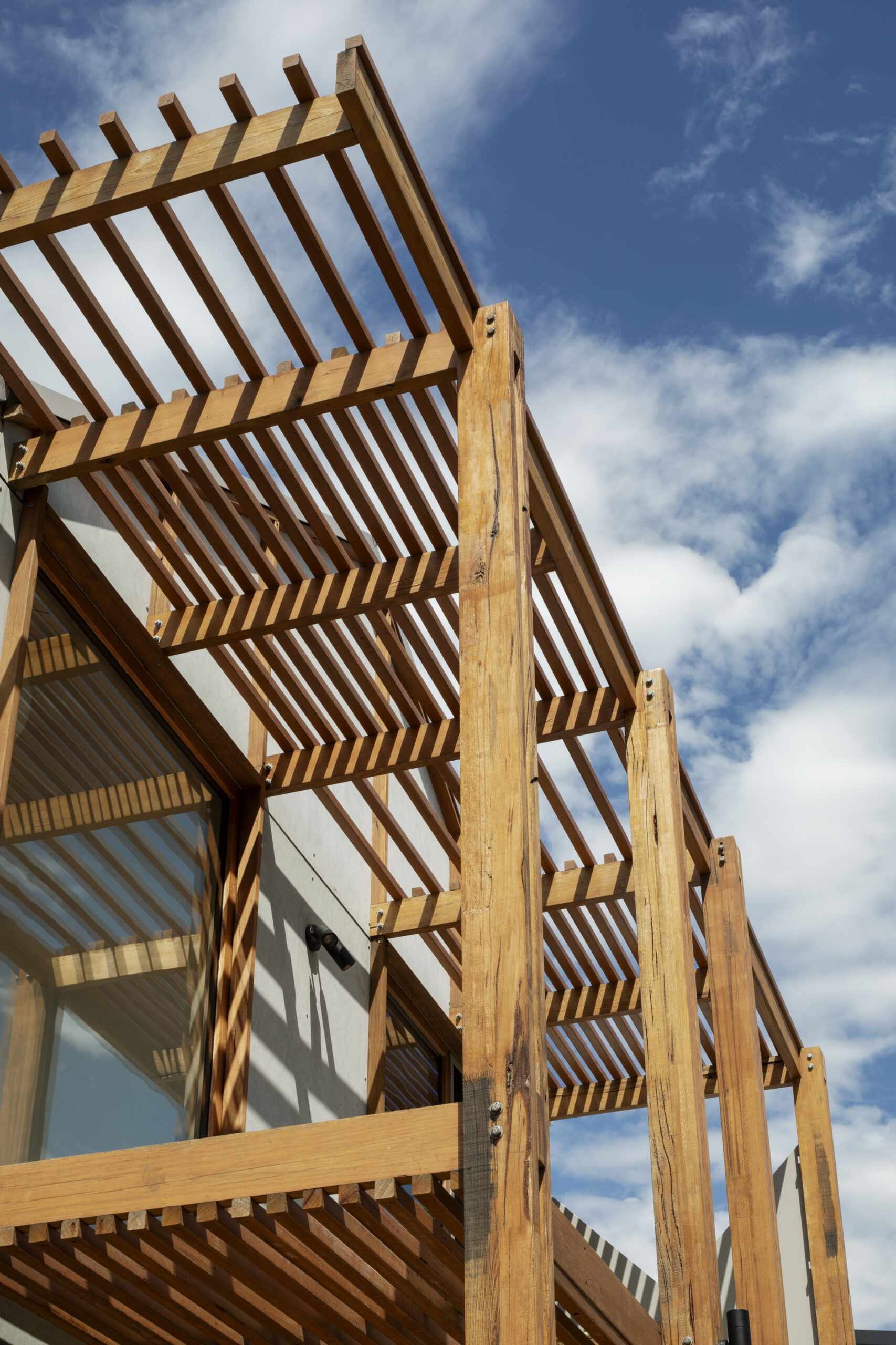 06-LIFE-CYCLE-SUNS-SHADING