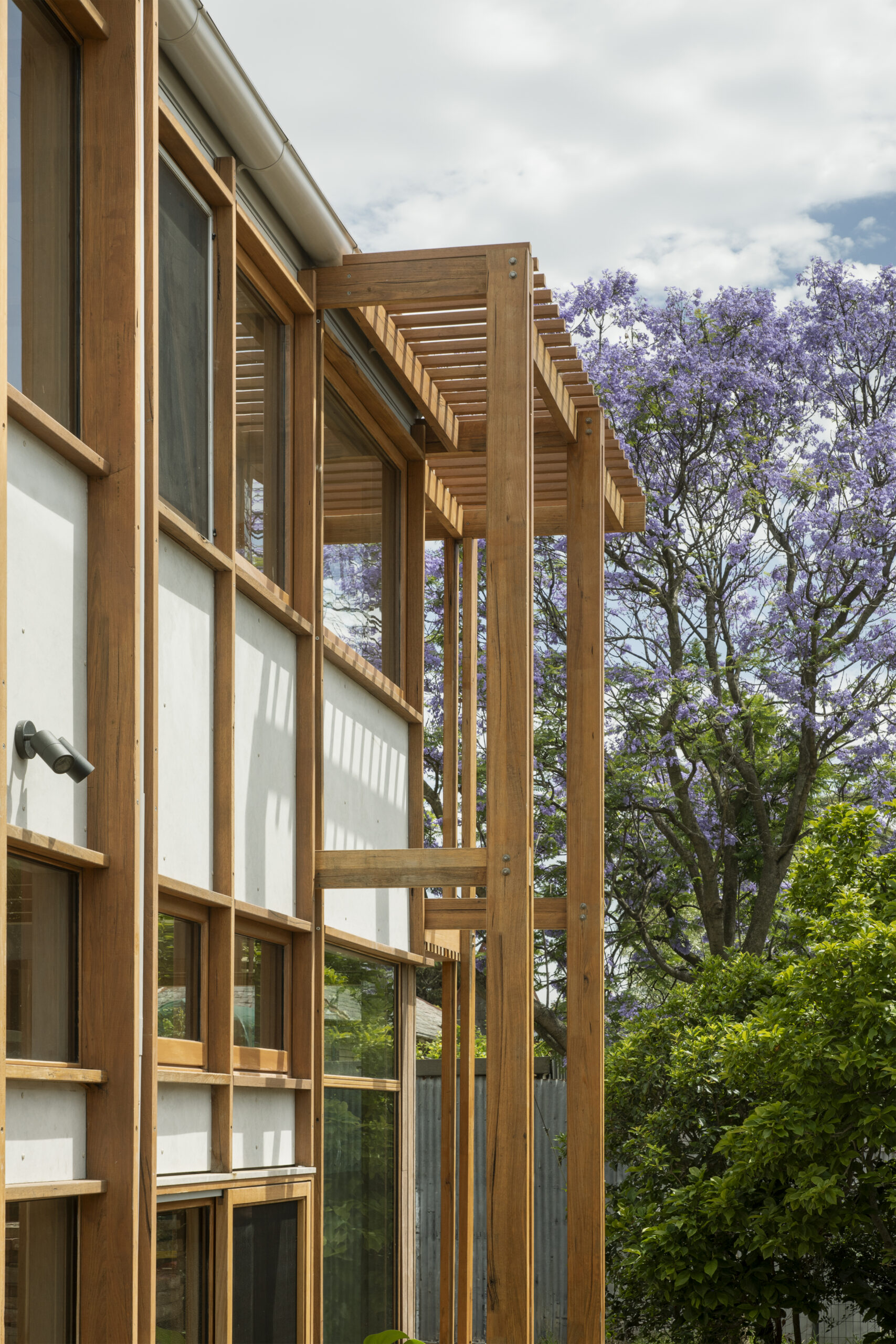 08-LIFE-CYCLE-JACARANDAH-TREE