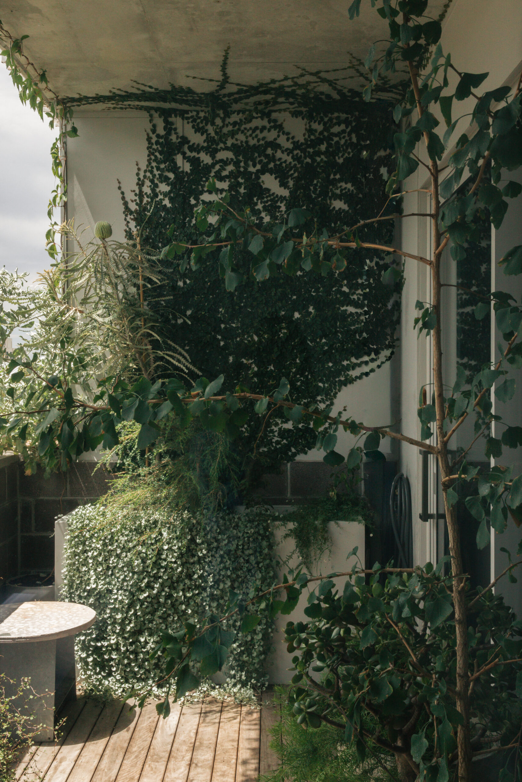 16- WWB Toby - Kate Longley - 260205