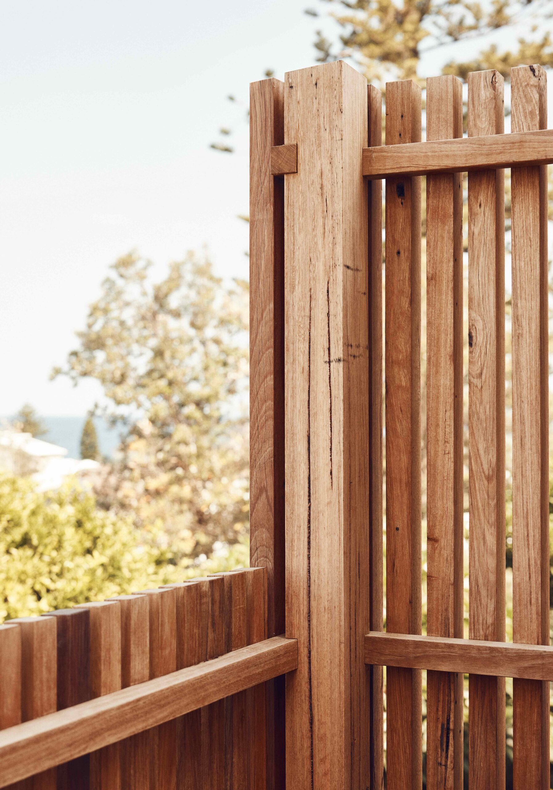 230310_TMH_COLEDALE1099