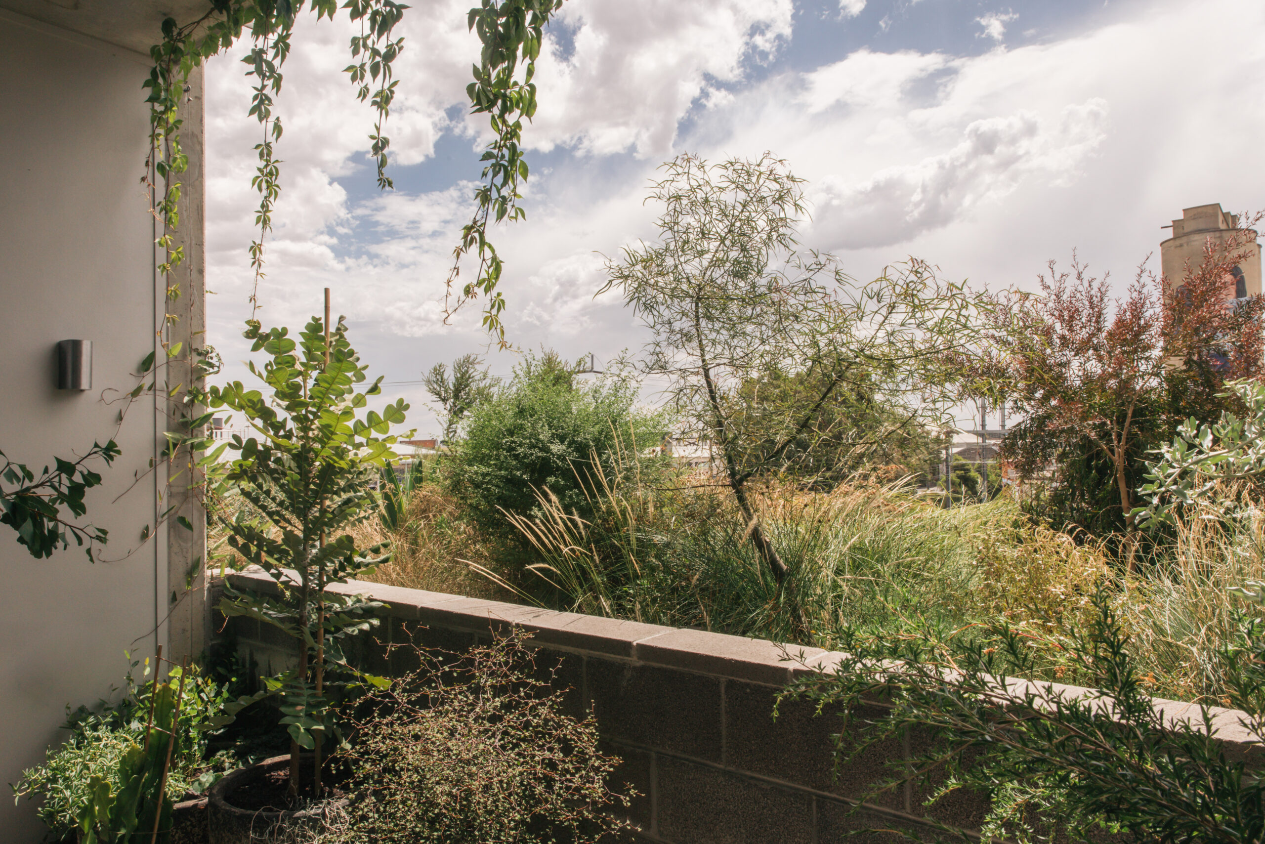 24- WWB Toby - Kate Longley - 260205