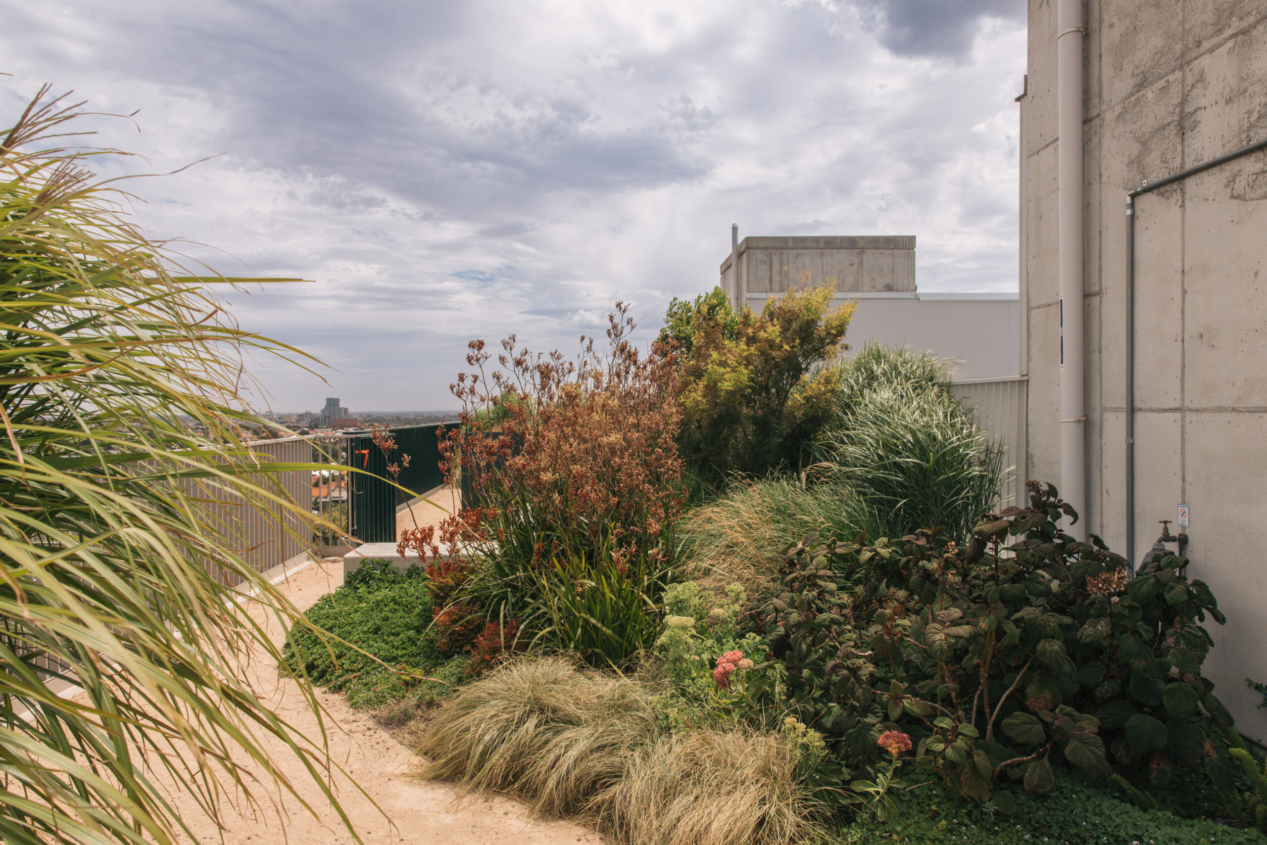 35- WWB Toby - Kate Longley - 260205