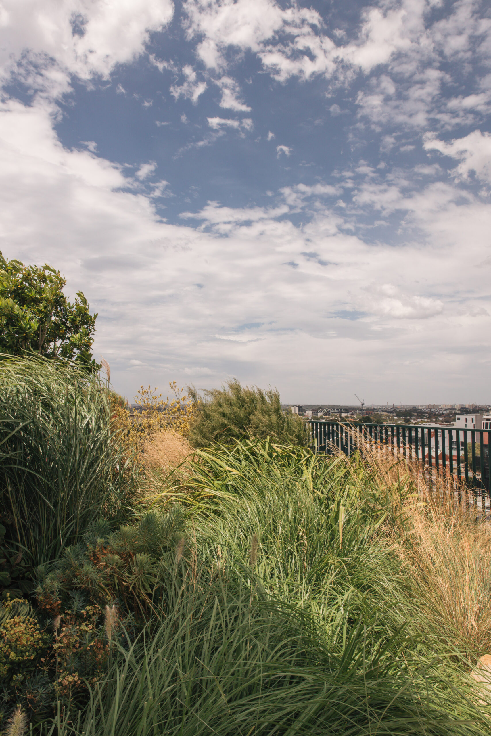 38-WWB-Toby-Kate-Longley-260205