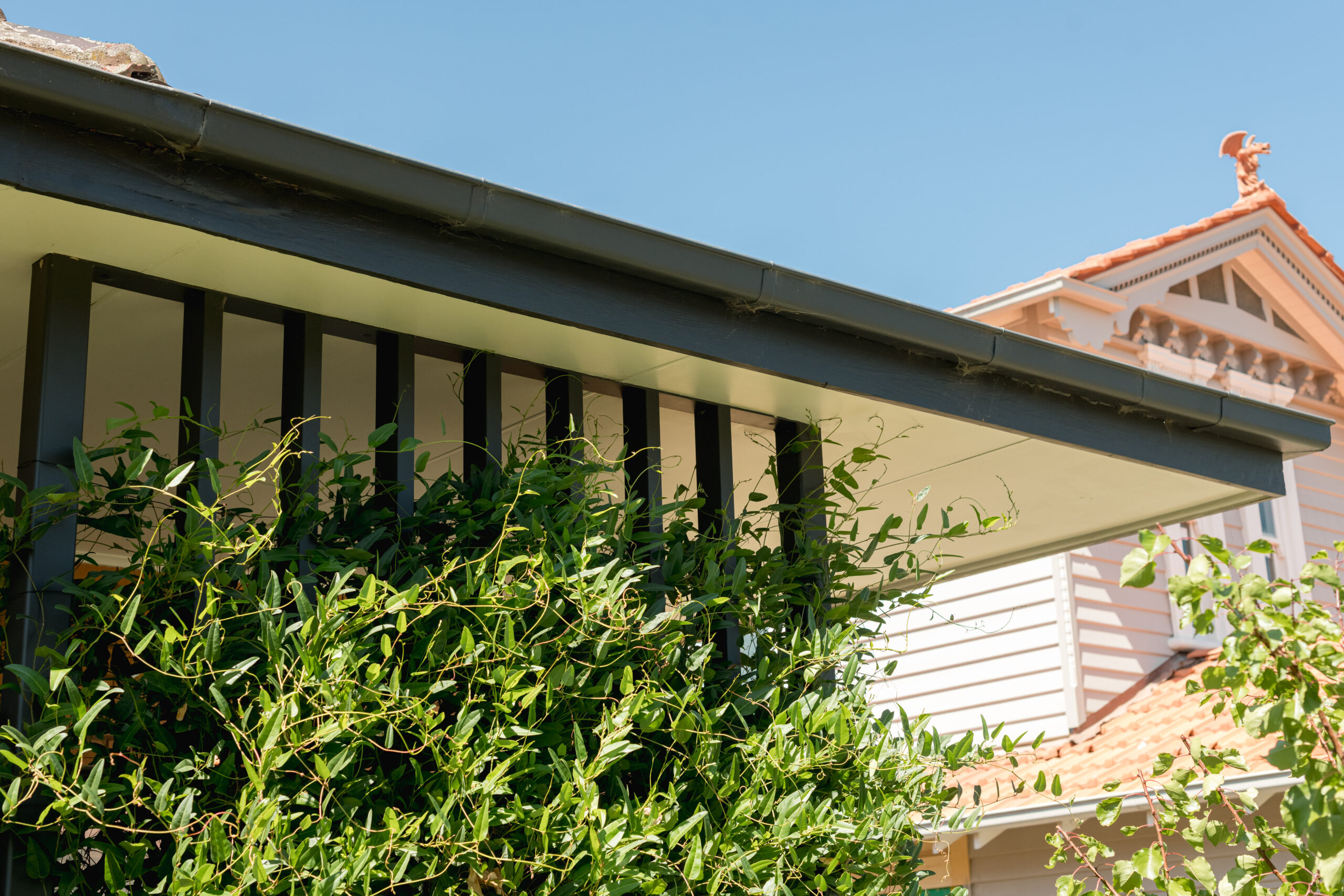 Baker_Drofenik_March24_2-111