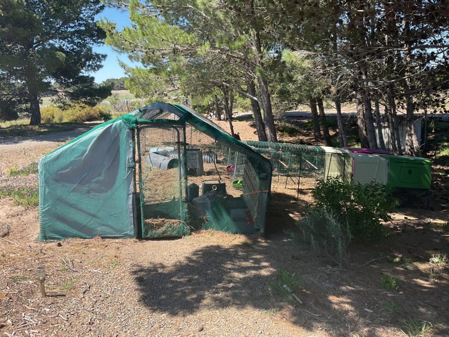 Fox-proof-chicken-run-scaled