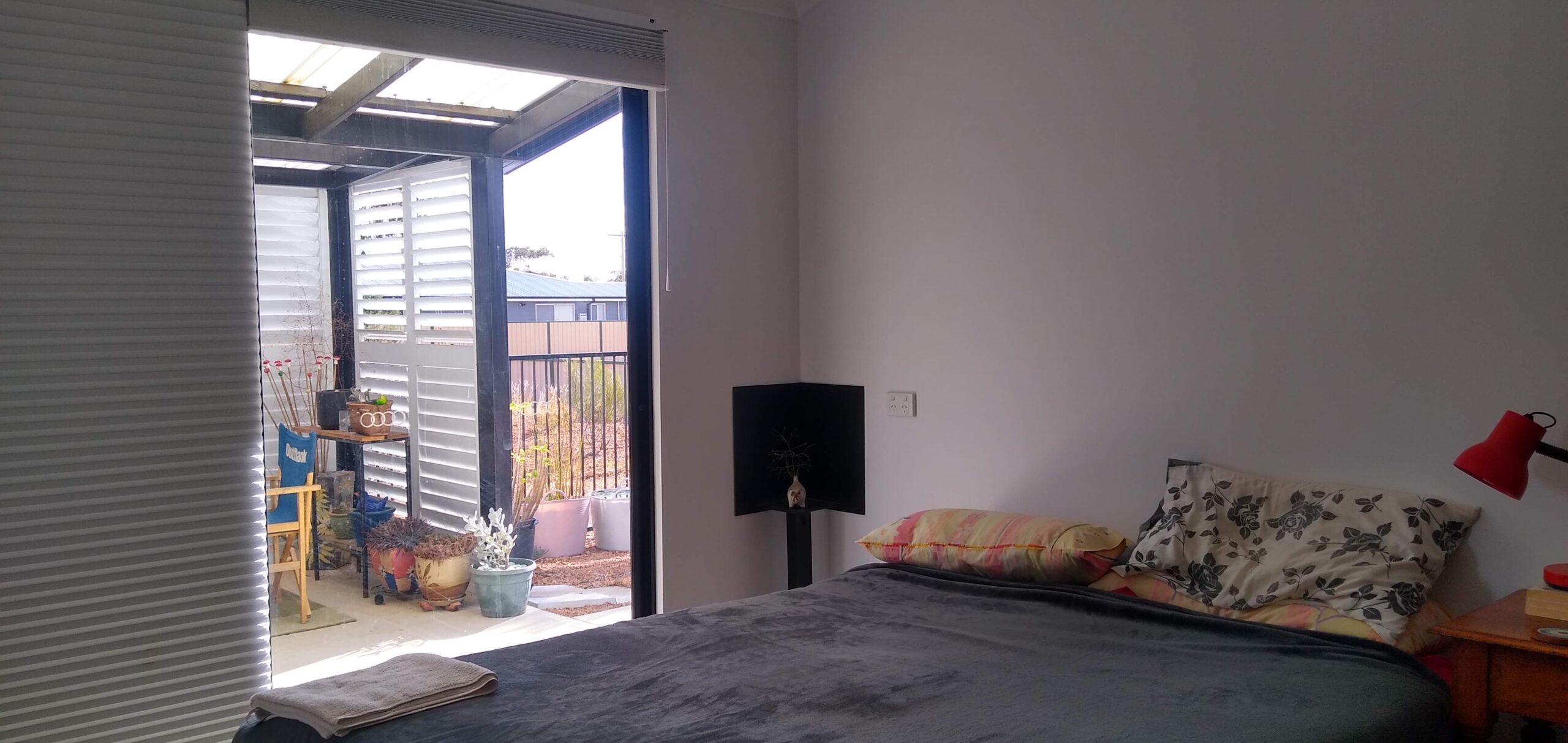 IMG_20250315_083658791_HDR-1