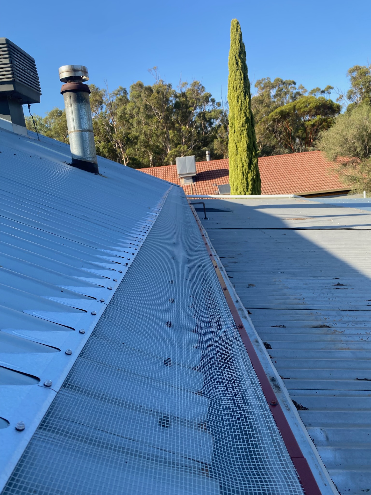 IMG_20250327_1155401