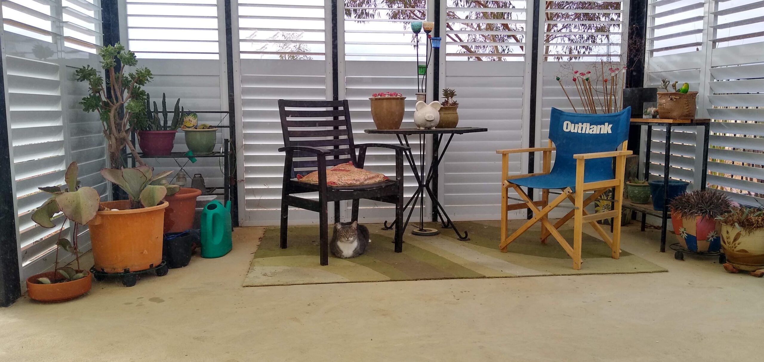 IMG_20250525_153250208_HDR