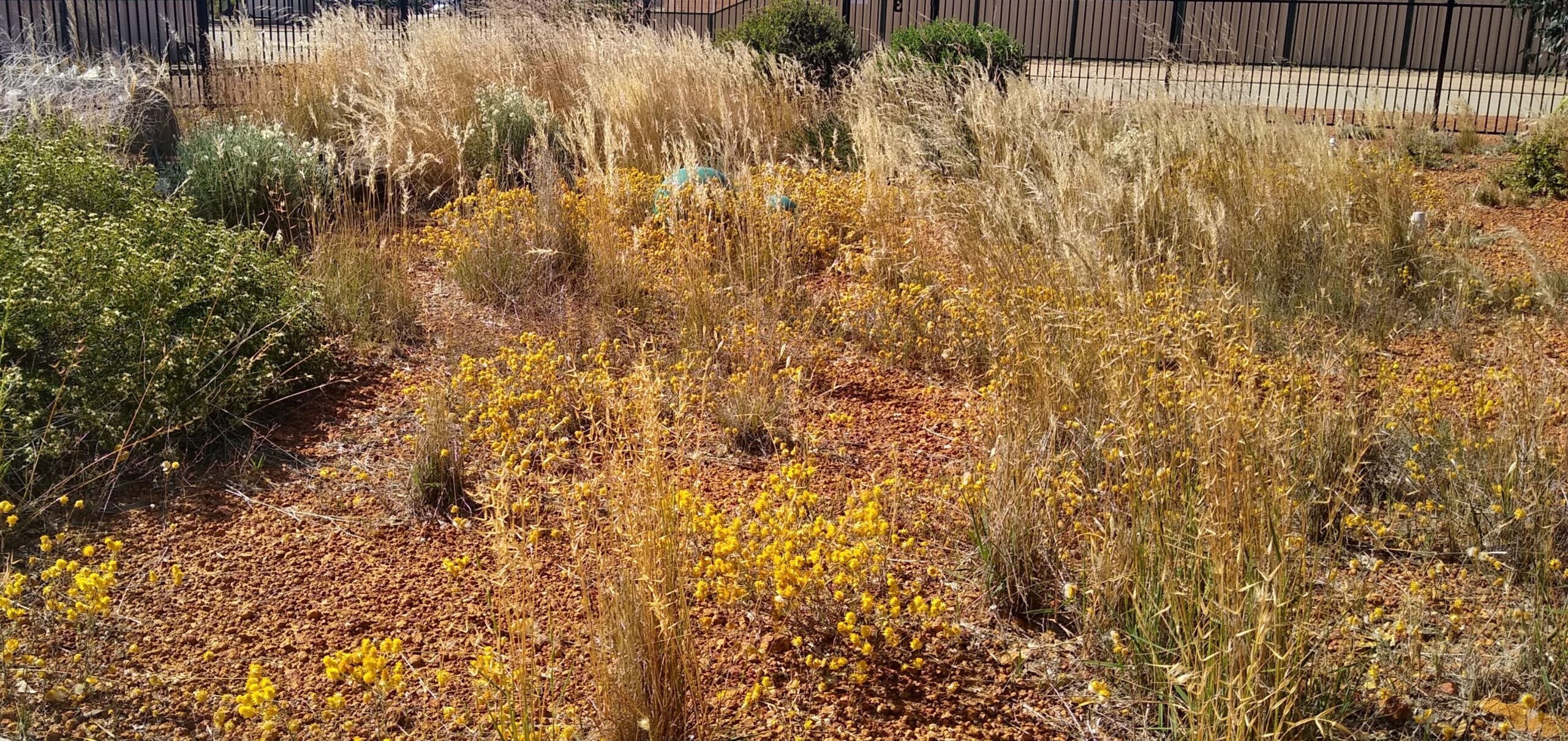 IMG_20251111_151514275_HDR