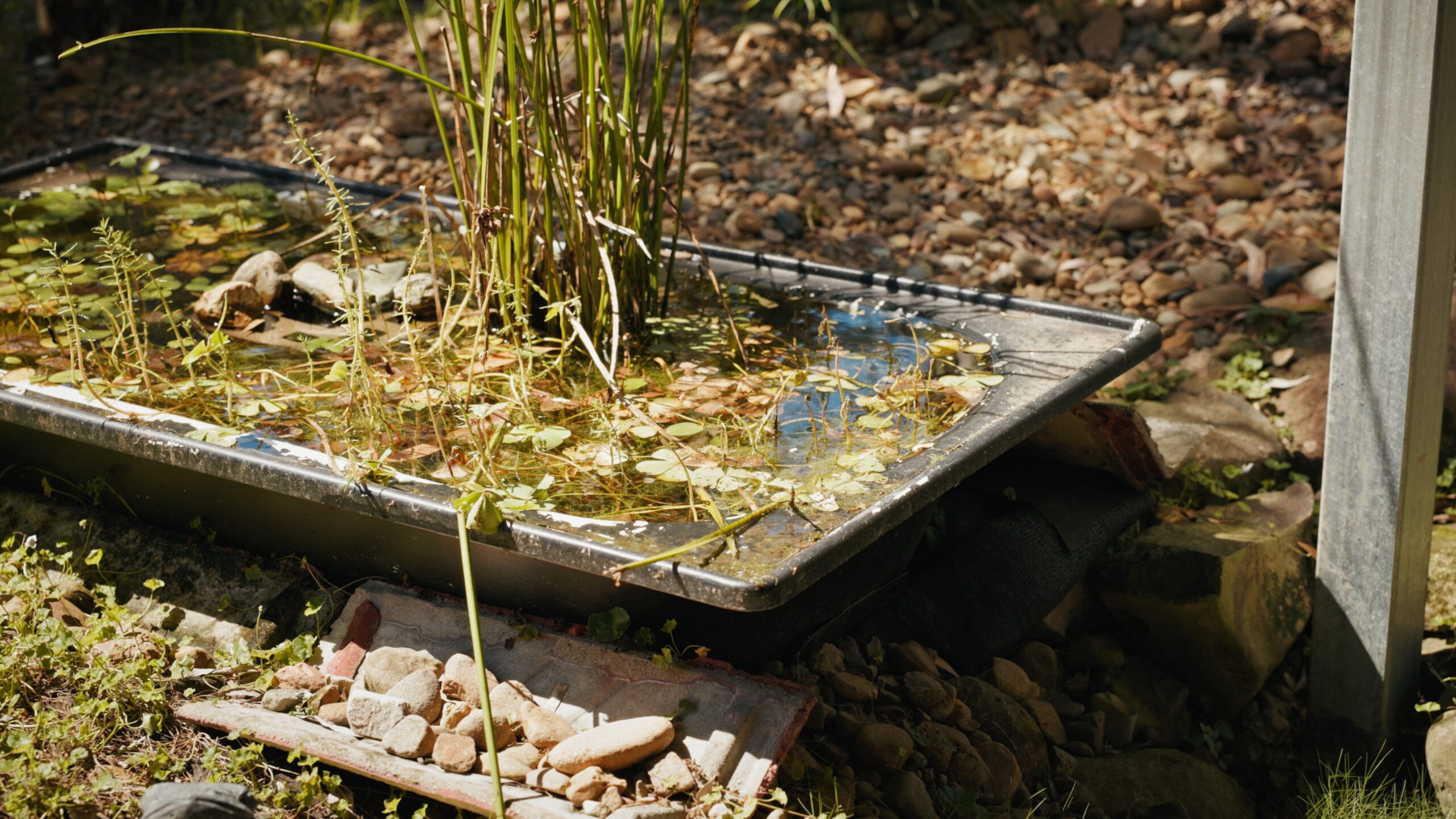 PTMA Currumbin _1.3.1