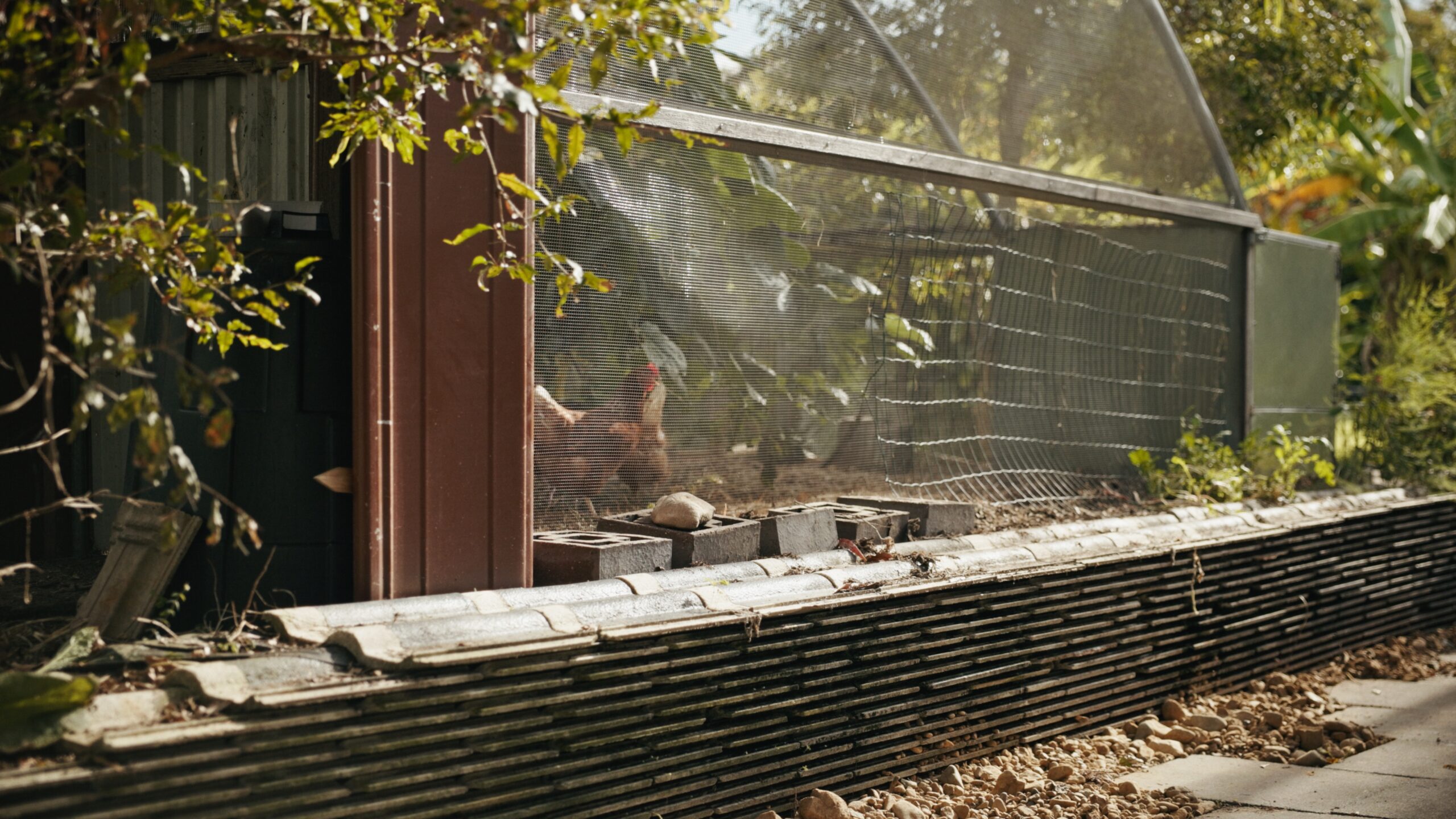 PTMA Currumbin _1.4.1