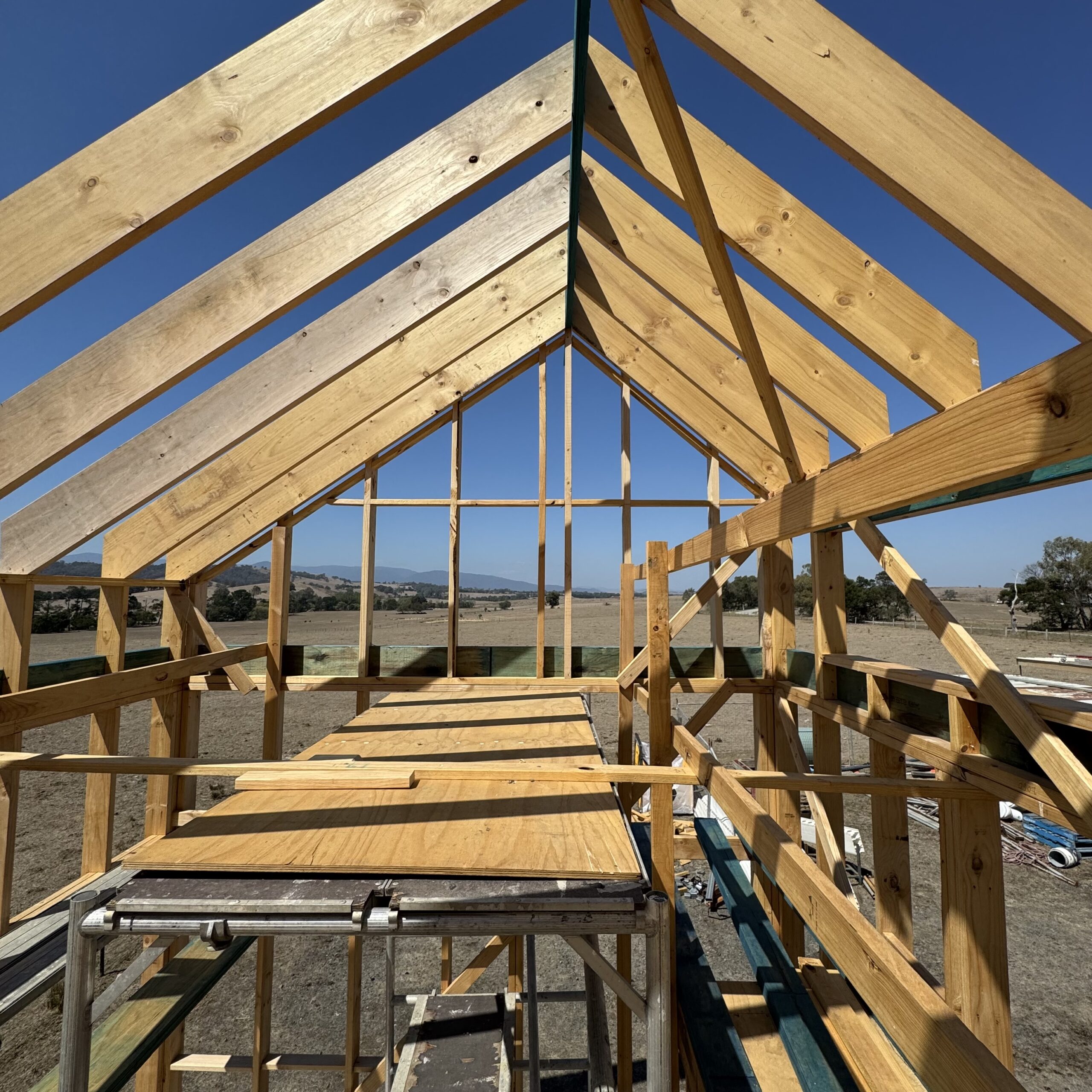 Photo-7-3-2025-1-22-37-pm