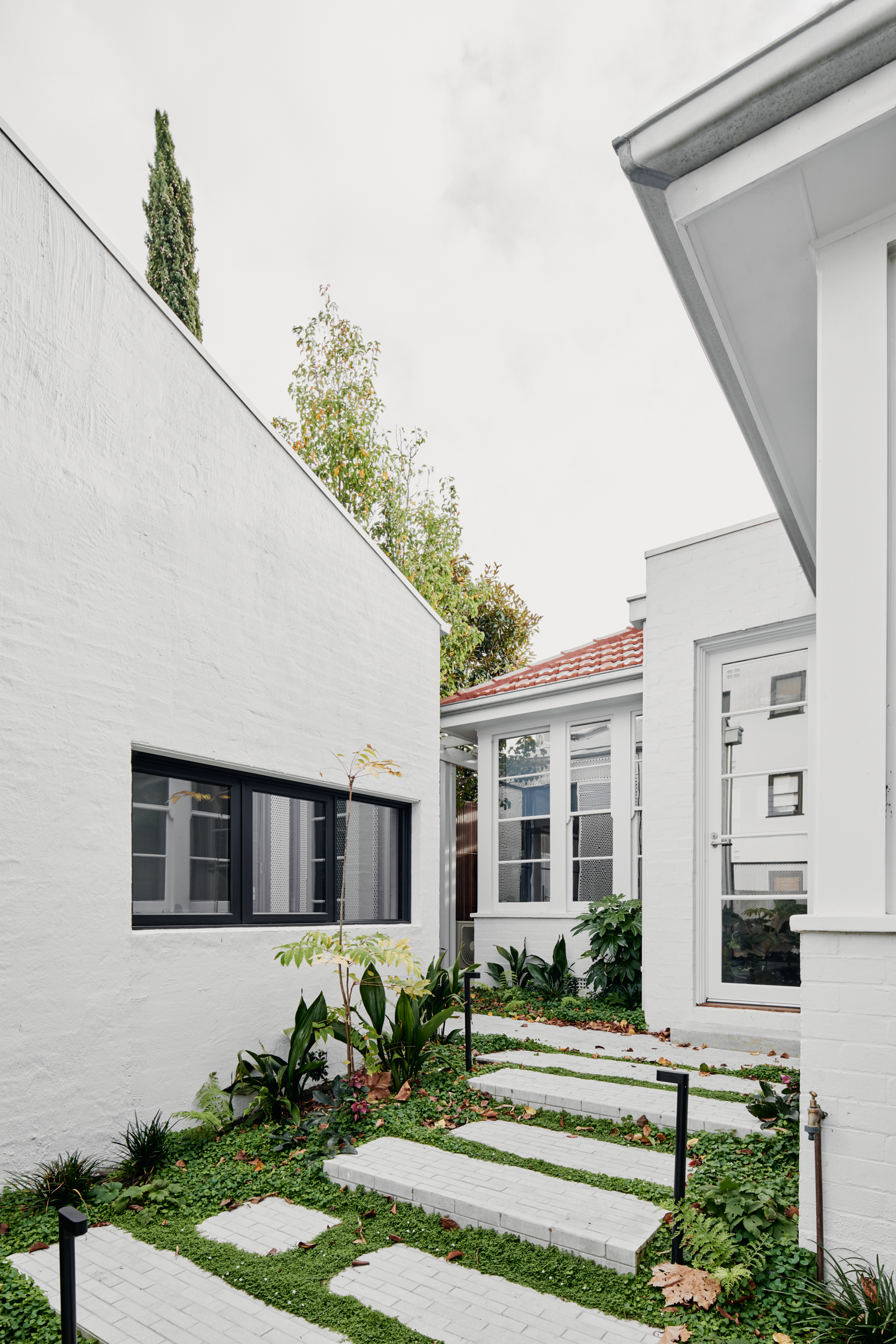 Session_Musk_MiddlePark_LowRes001