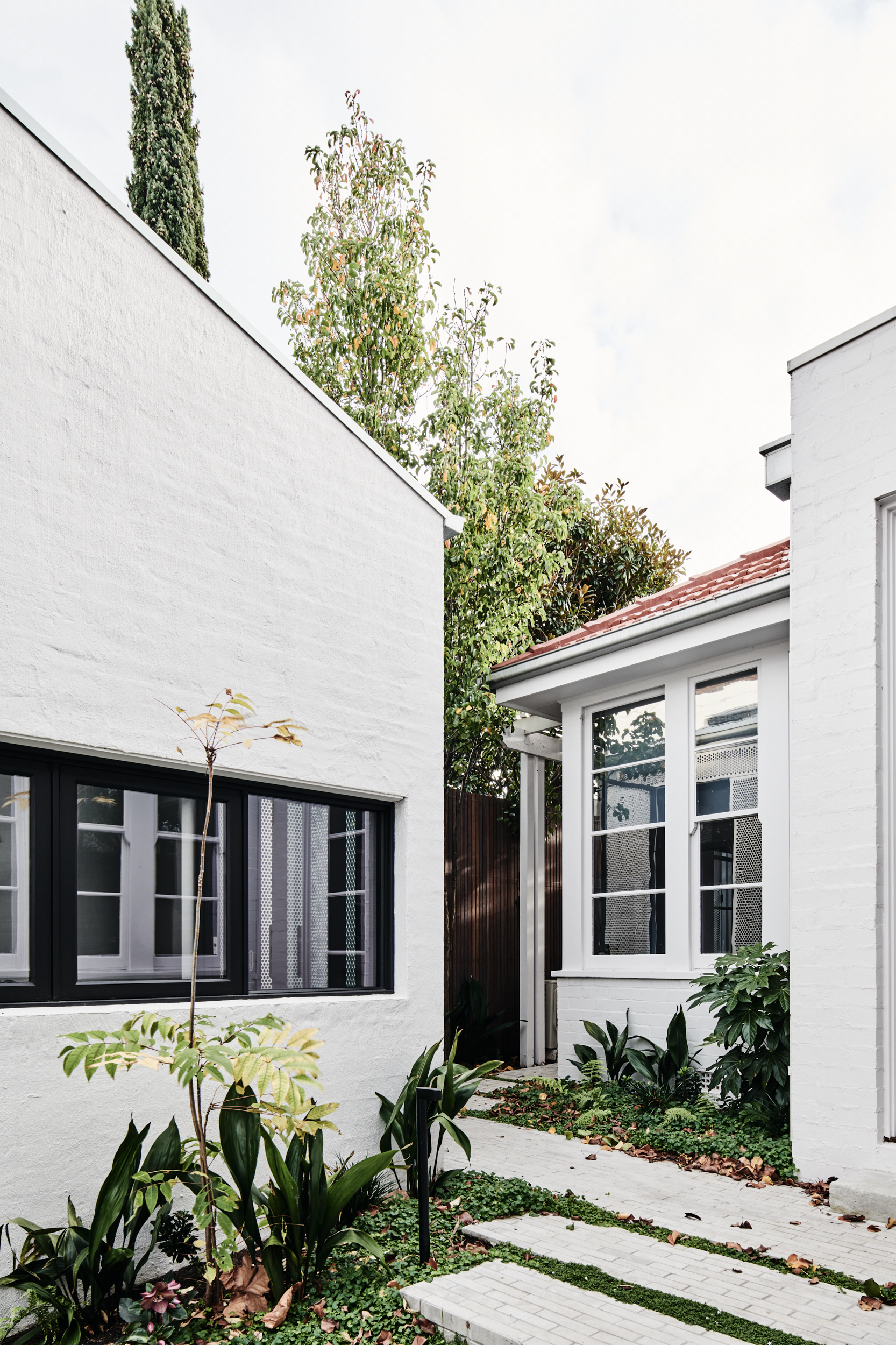 Session_Musk_MiddlePark_LowRes002