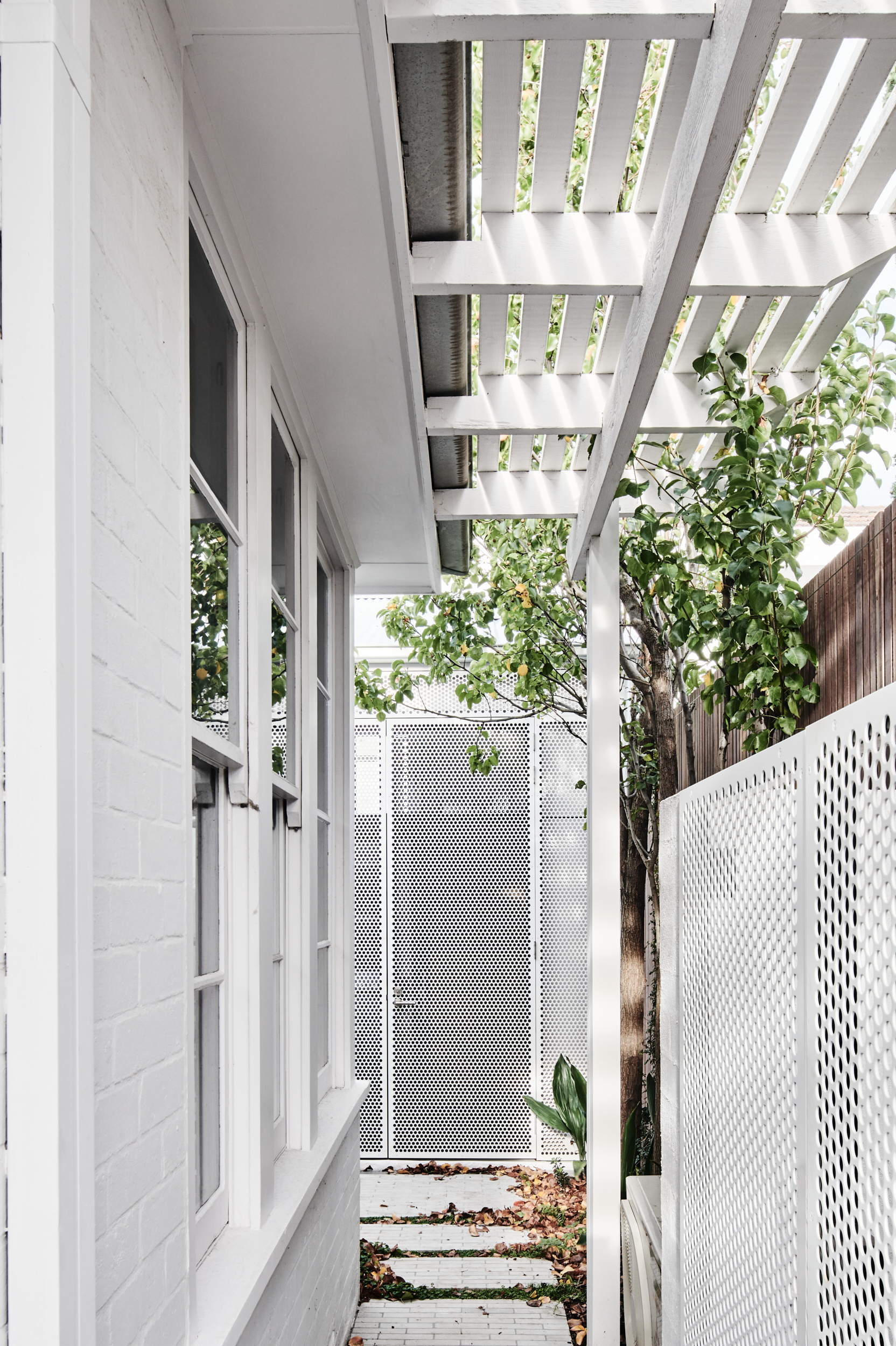 Session_Musk_MiddlePark_LowRes005