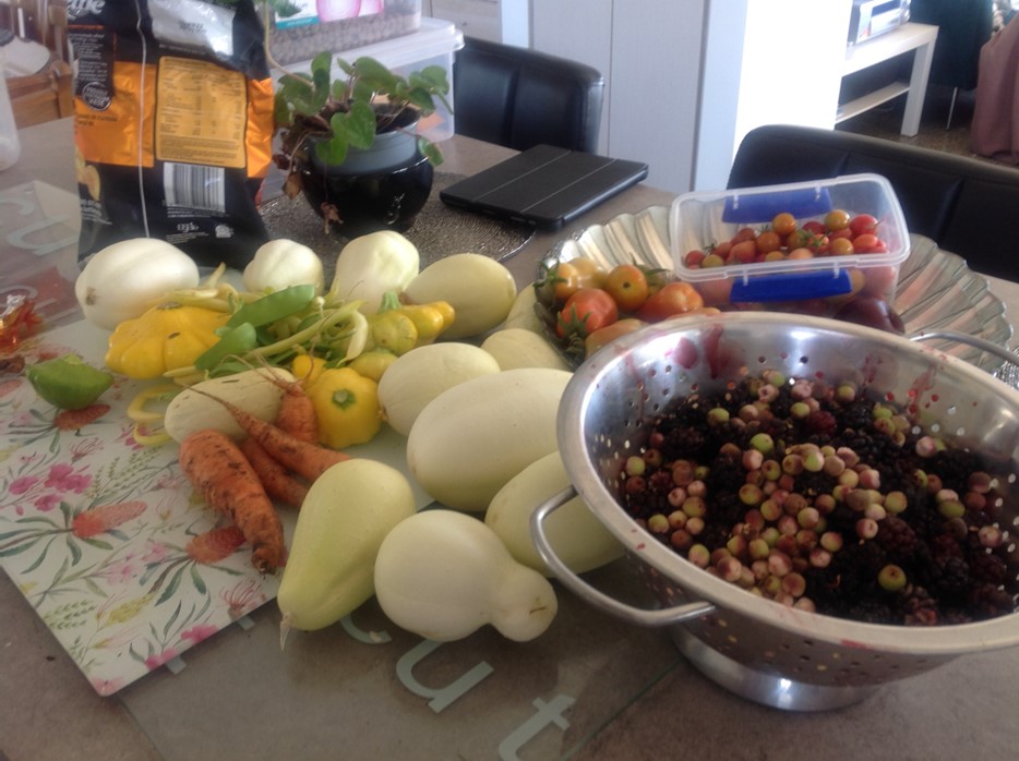 growing-vegetables-in-wicking-beds