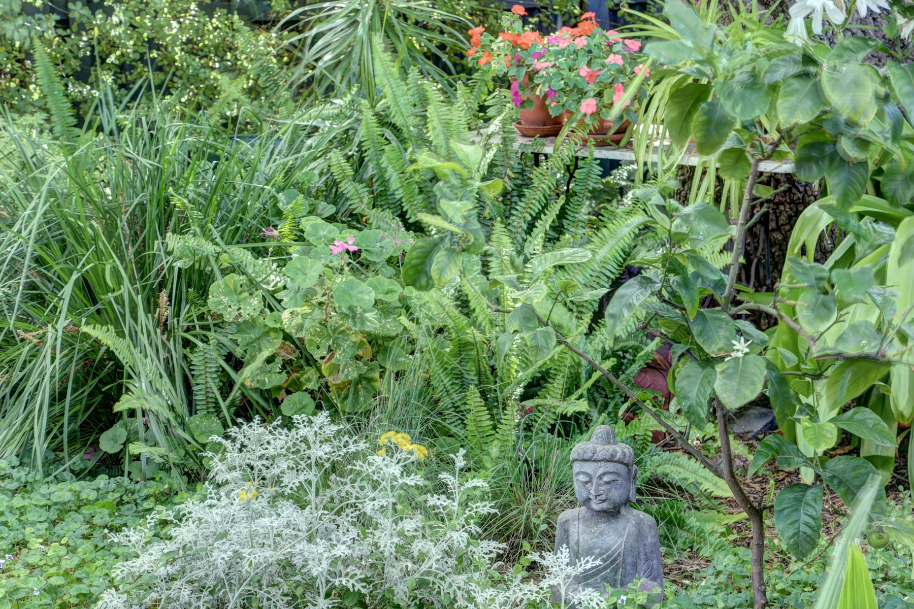 15-Ada-St-Adelaide_HighRes_23