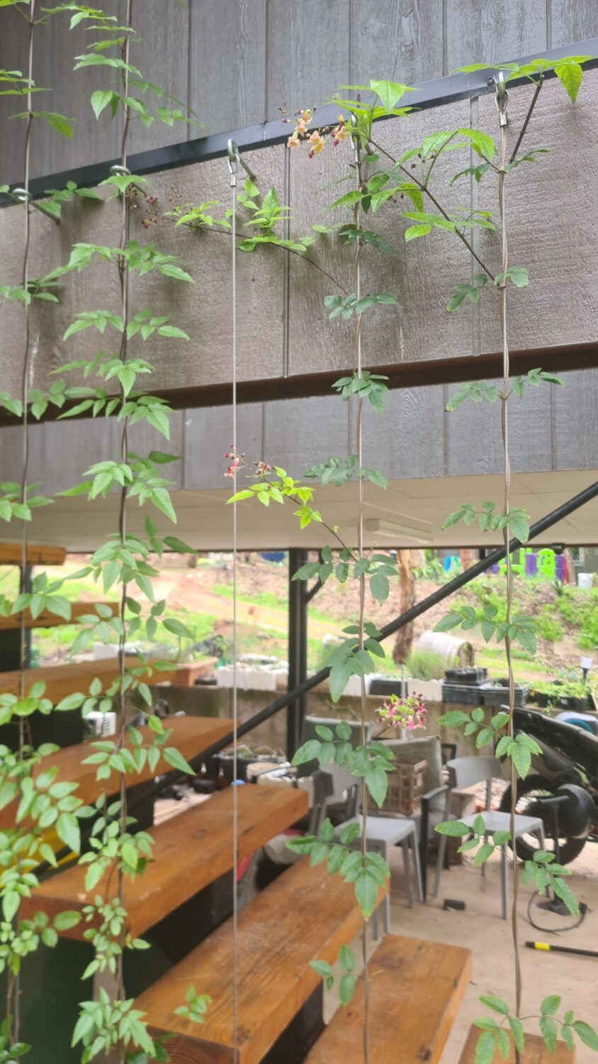 20230901_111237-scaled