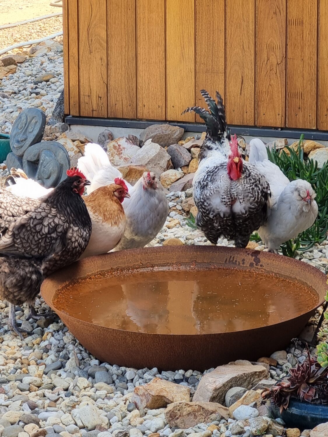 20241027_135841-scaled