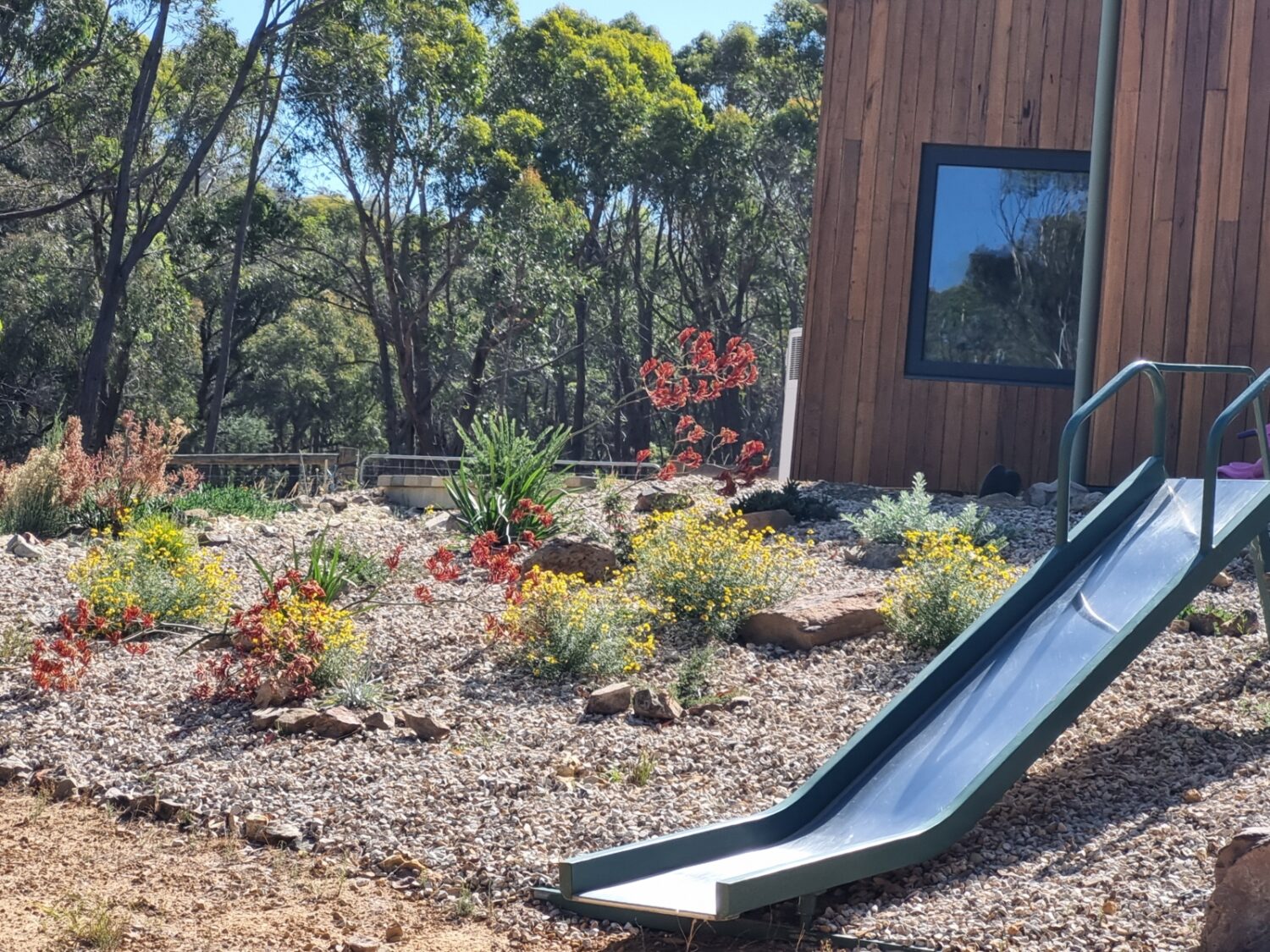 20250117_163553-1-scaled