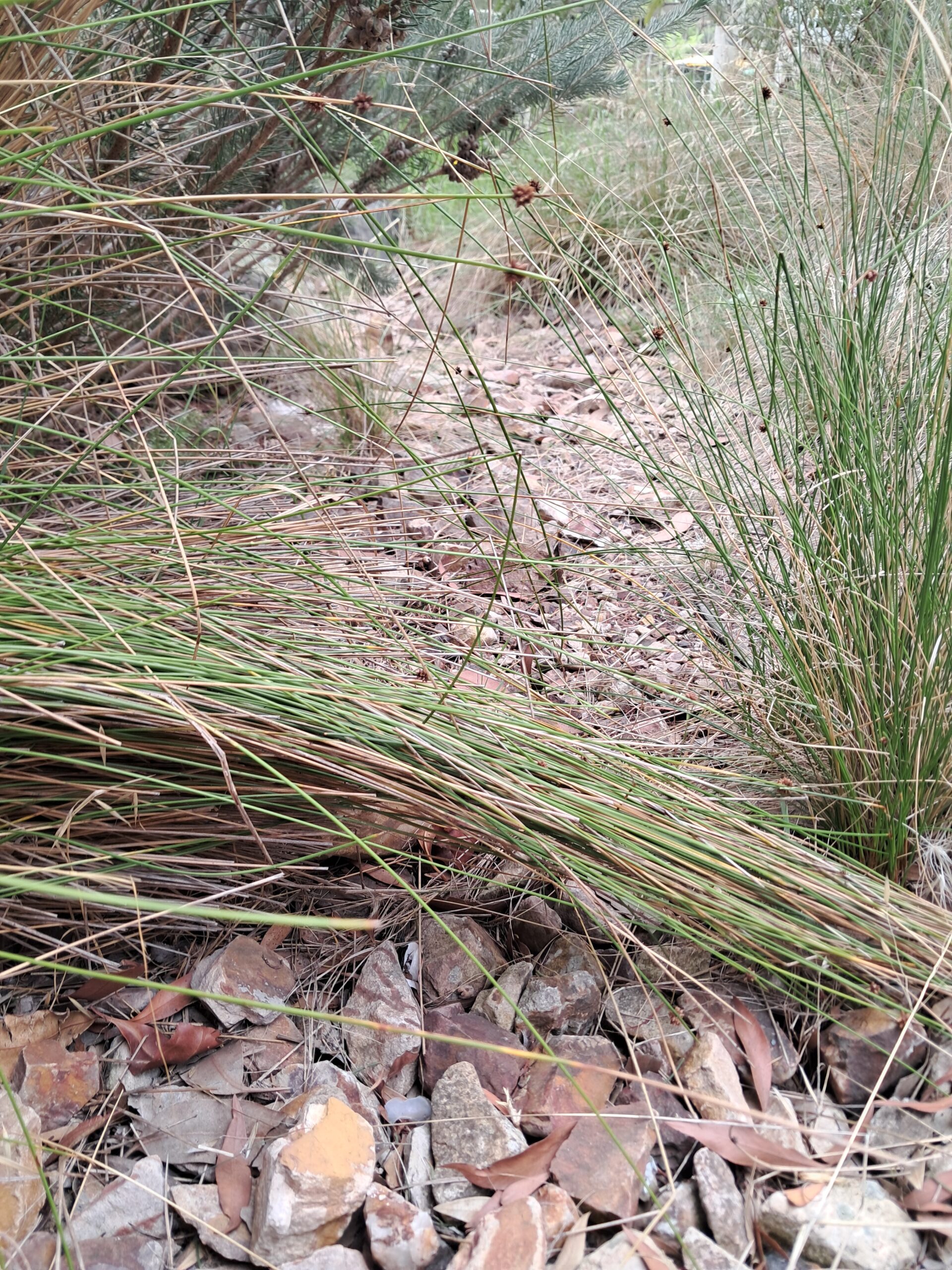 20260324_155246_55165504494_o