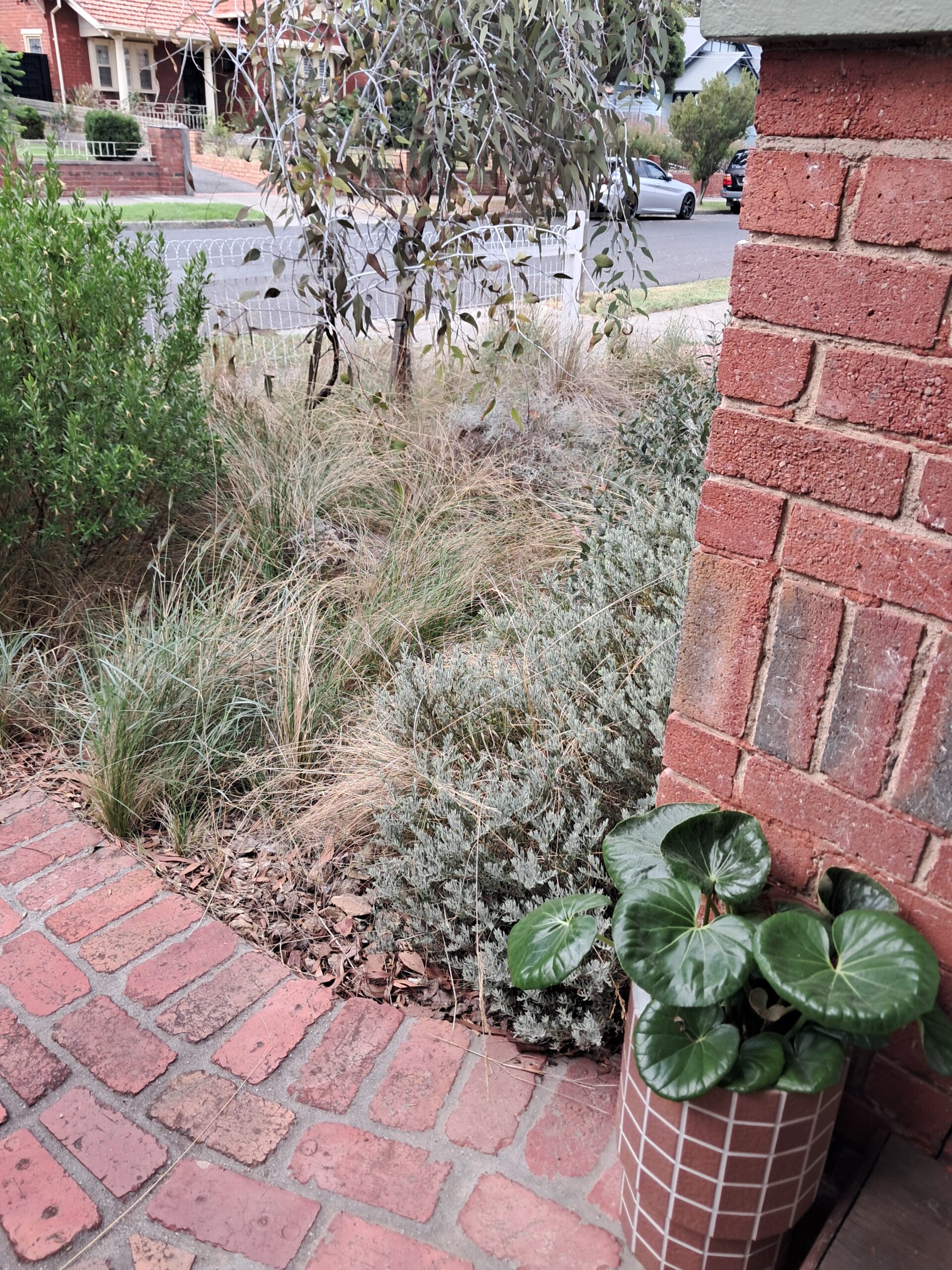 20260324_155259_55165641915_o