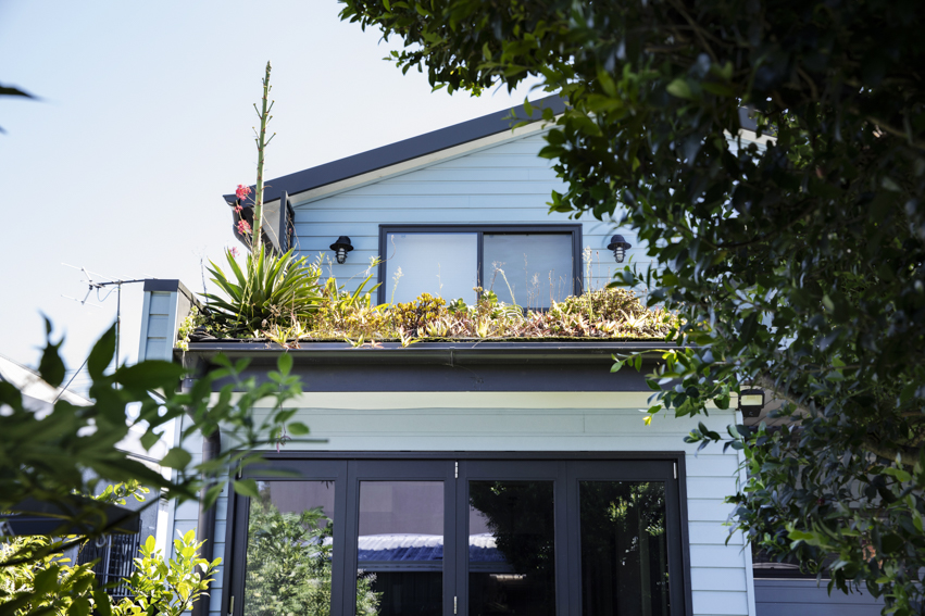 250313-Connected-Design-Marrickville-0411