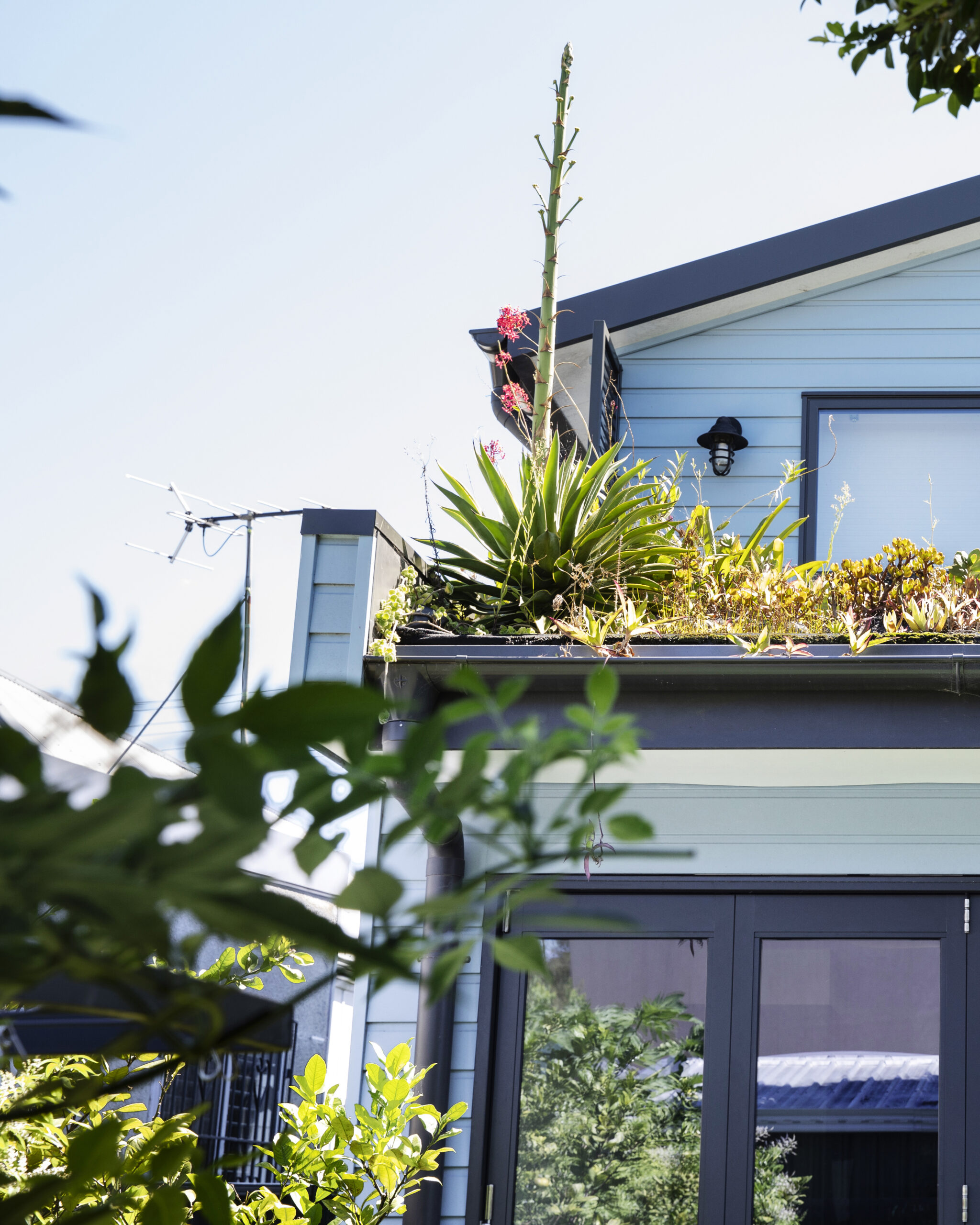 250313-Connected-Design-Marrickville-041A