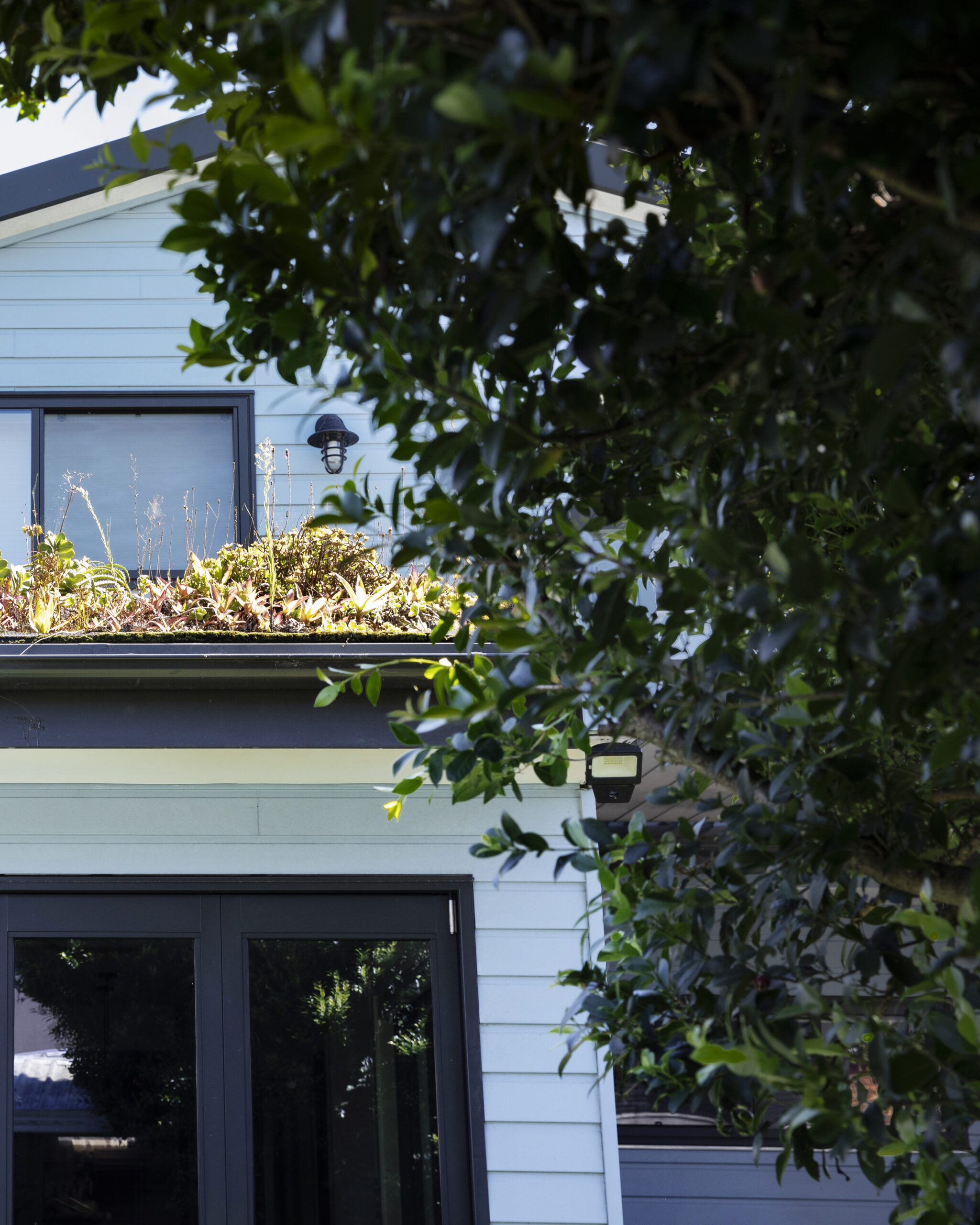 250313-Connected-Design-Marrickville-041B