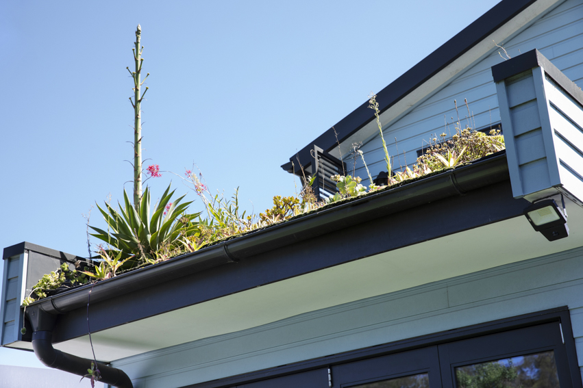 250313-Connected-Design-Marrickville-055