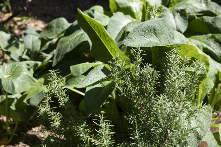 250313-Connected-Design-Marrickville-072