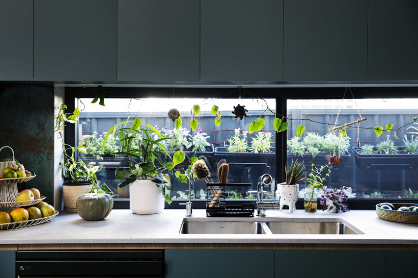 250313-Connected-Design-Marrickville-114