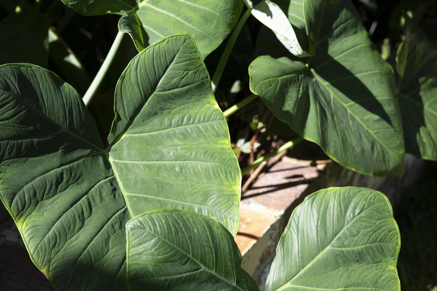 250313-Connected-Design-Marrickville-124