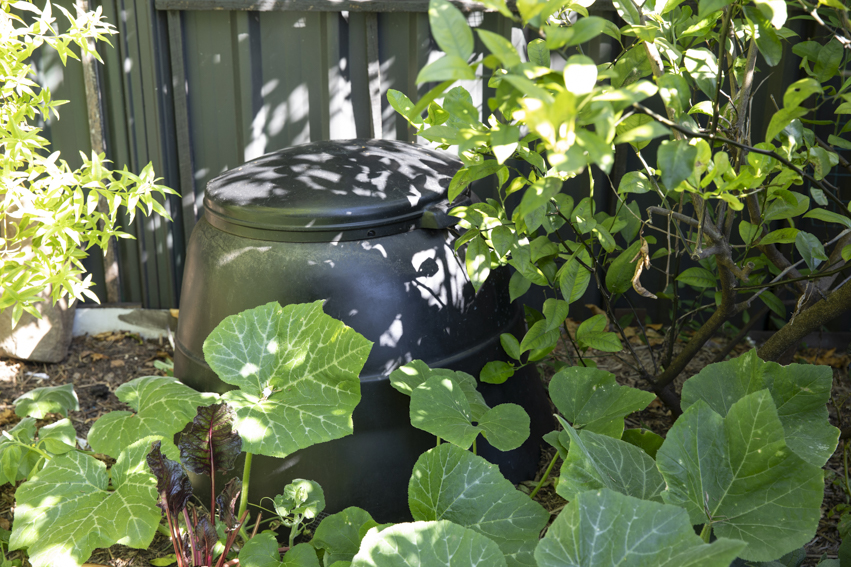 250313-Connected-Design-Marrickville-127